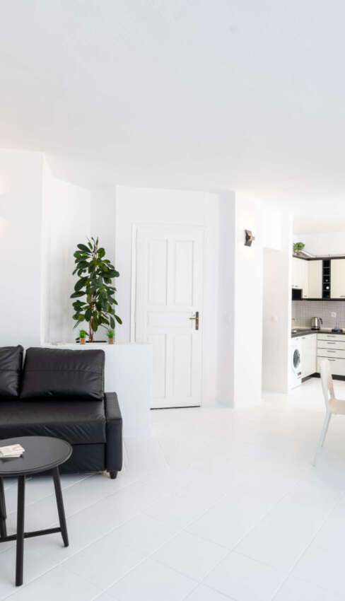 Spacious open living room.